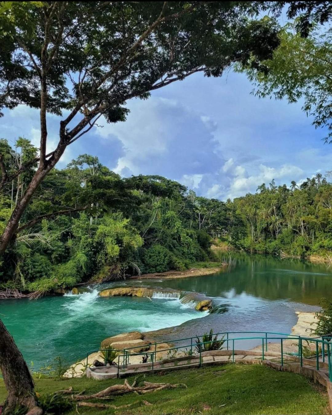 Loboc Nipa Huts Cottages Rental المظهر الخارجي الصورة