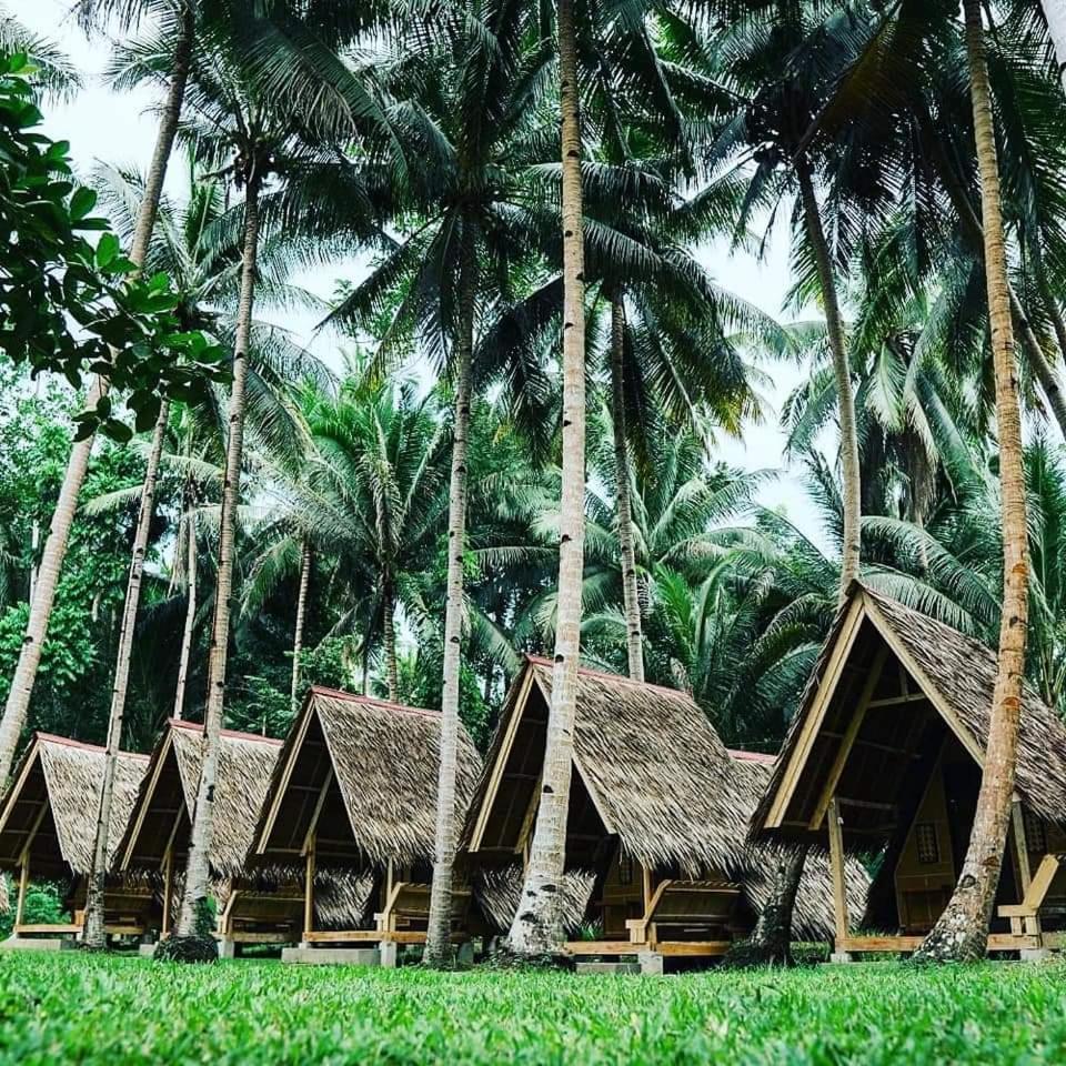 Loboc Nipa Huts Cottages Rental المظهر الخارجي الصورة