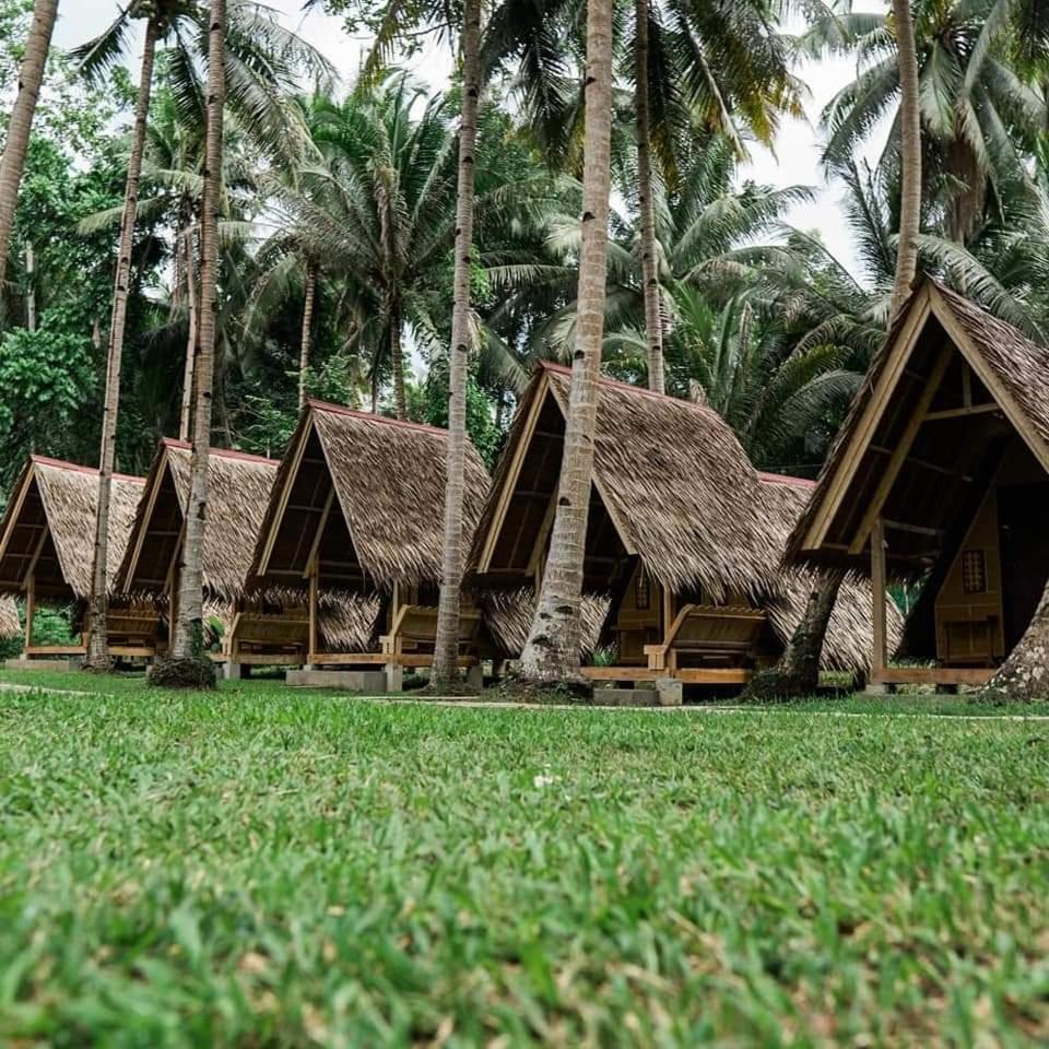 Loboc Nipa Huts Cottages Rental المظهر الخارجي الصورة